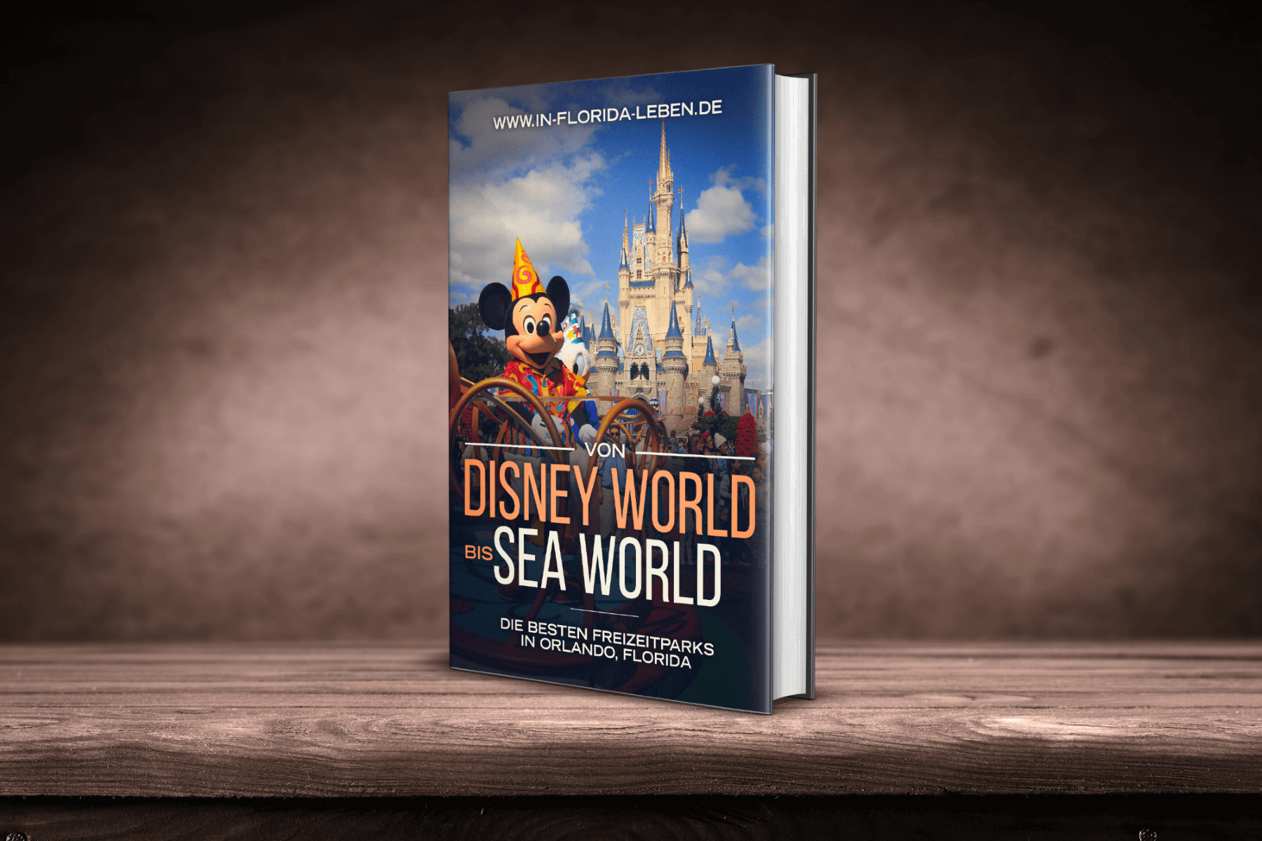 Disney World small